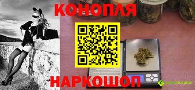 a pvp Будённовск